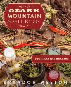 S3 E02 – Brandon Weston