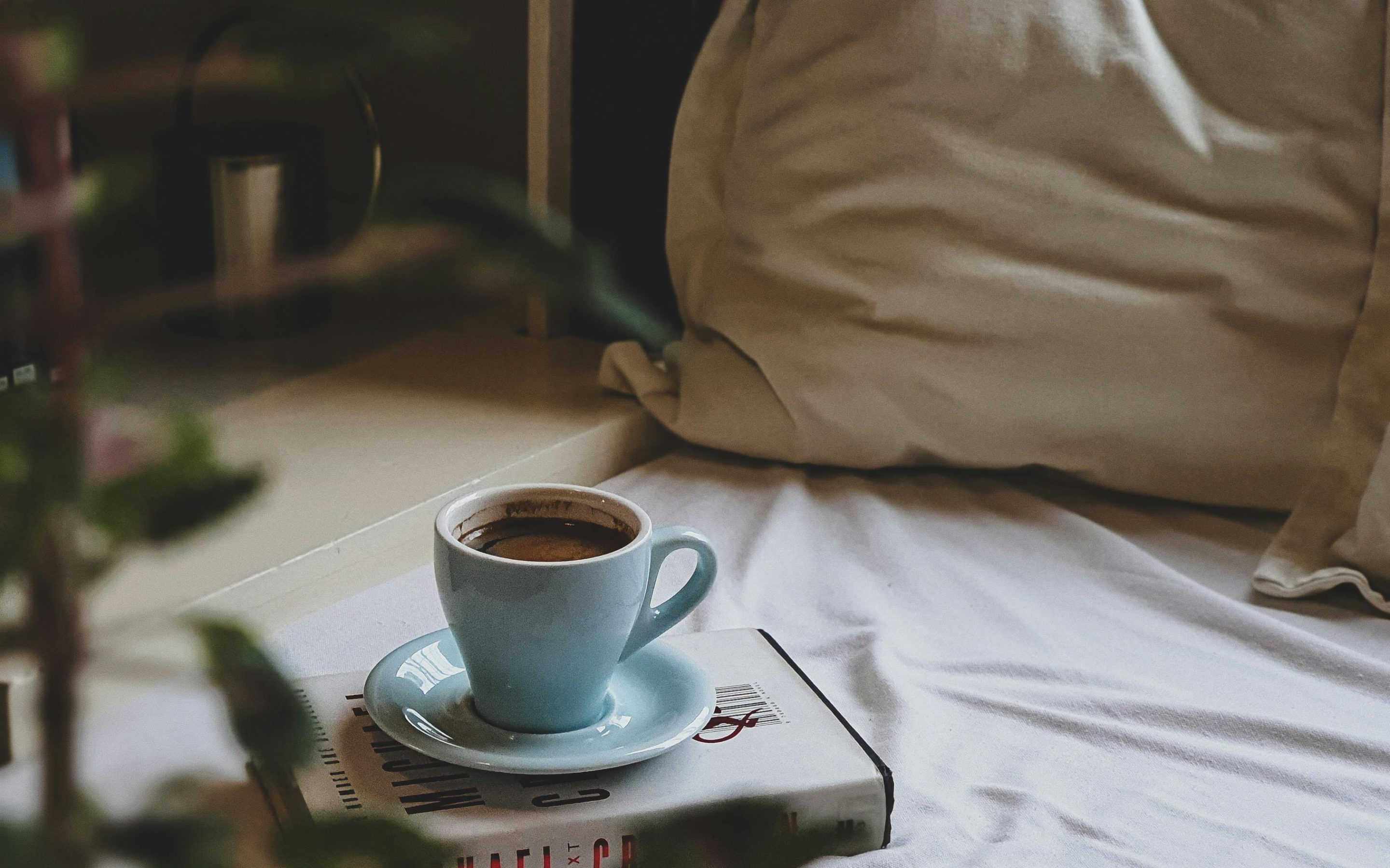 February 2026 Reading, Listening, Enjoying with Commentary